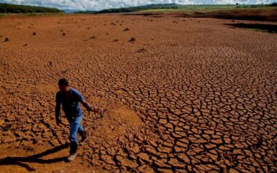 Self storage en América Latina: la escasez de las tierras y el aumento de la población conducen a desarrollos de múltiples niveles.